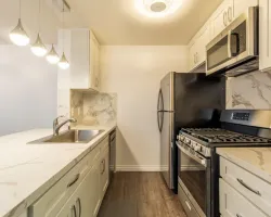 Full Condo and Kitchen Remodel in Los Angeles, CA