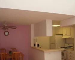 Full Condo and Kitchen Remodel in Los Angeles, CA