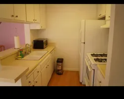 Full Condo and Kitchen Remodel in Los Angeles, CA