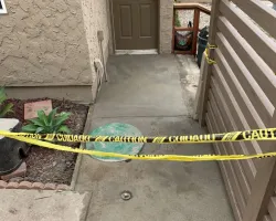 Outdoor Vinyl Gate and Fence Project in Los Angeles, CA